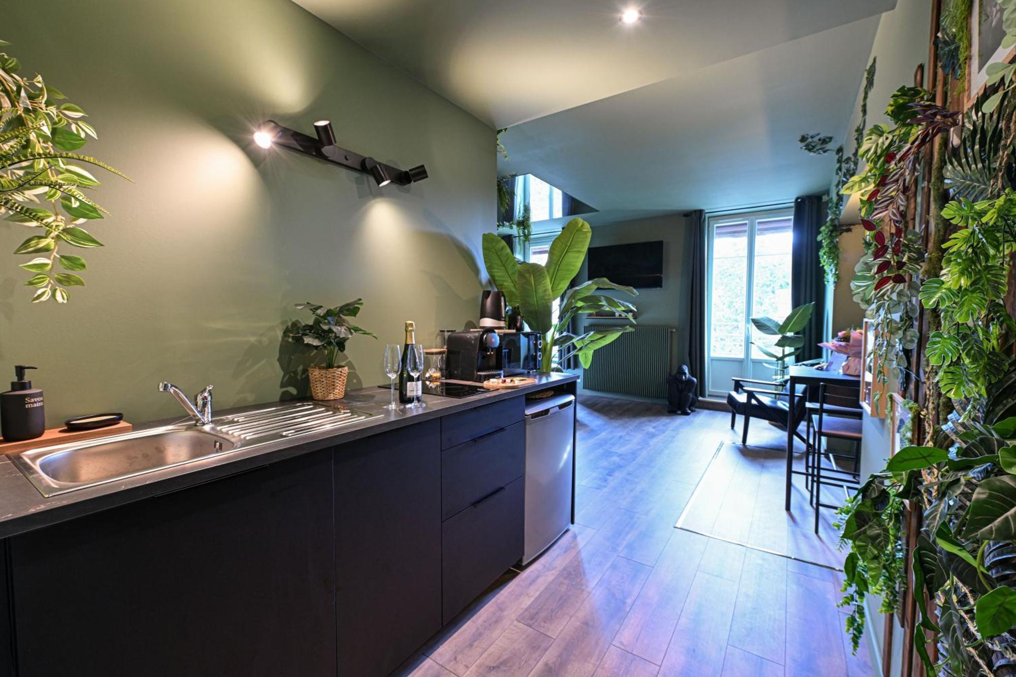 Secret Jungle - By Prim0 C0nciergerie Appartement Royat