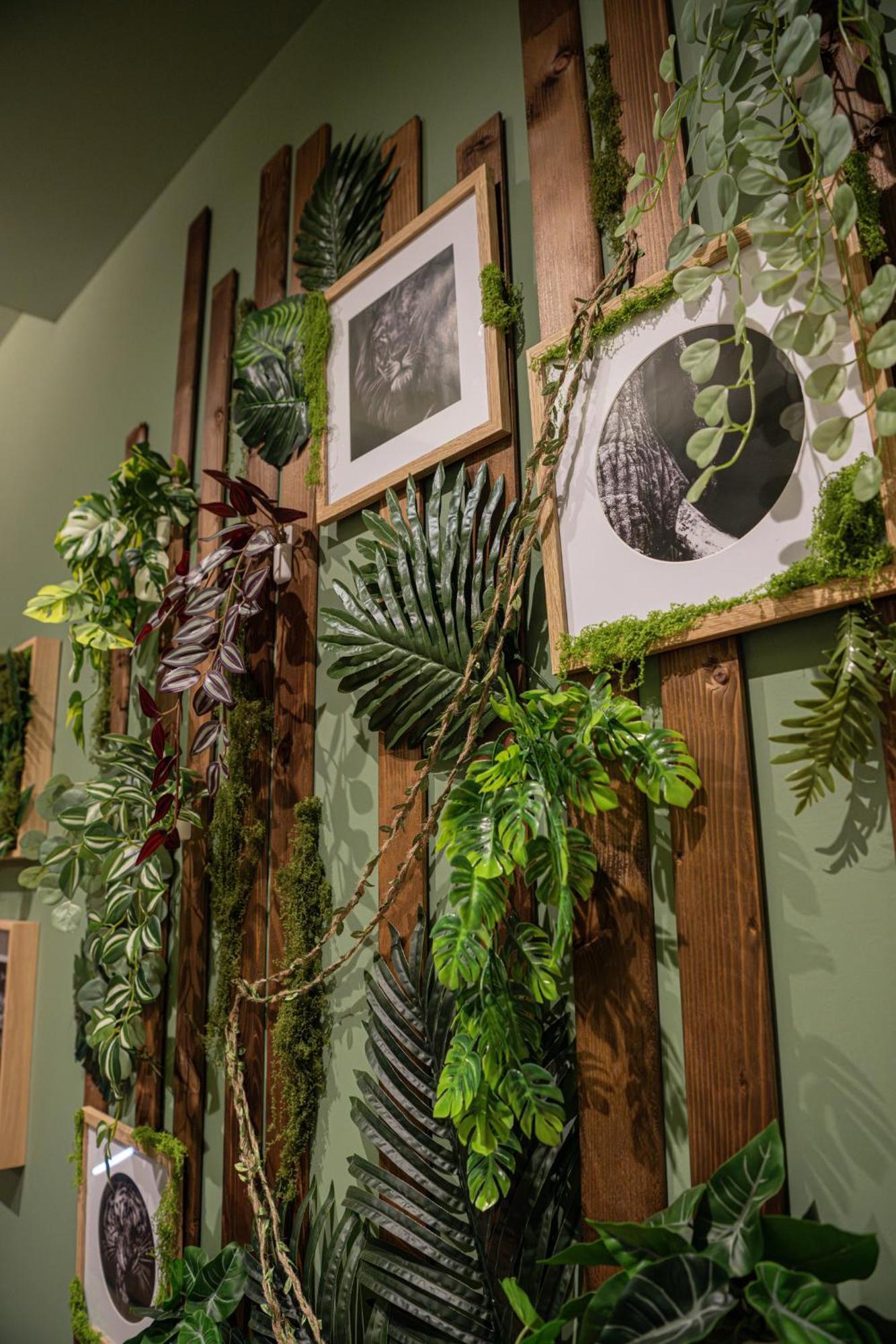 Secret Jungle - By Prim0 C0nciergerie Appartement
