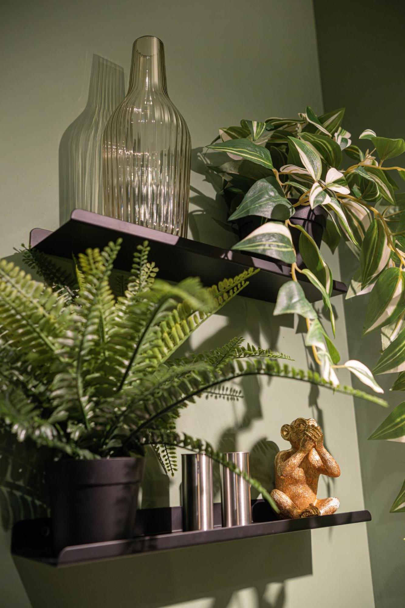 Appartement Secret Jungle - By Prim0 C0nciergerie *